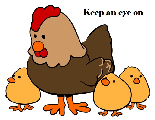 idiom-of-the-week-keep-an-eye-on